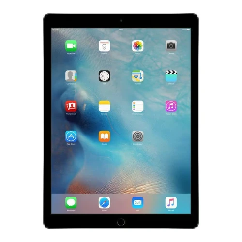 Apple iPad Pro 5 12.9" Tablet (Unlocked) 256 GB iOS | Scratch and Dent