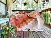 ARRIVING SEPTEMBER - Lulu Louise Quilt Pattern by Melanie Traylor - DIGITAL DOWNLOAD