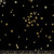 Tiny Flowers Floral Black - First Light - Ruby Star Society