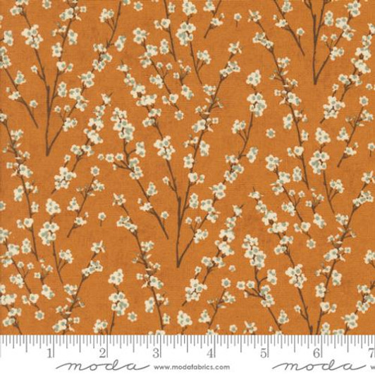 Twiggy Yam - Acorn Hollow by BasicGrey