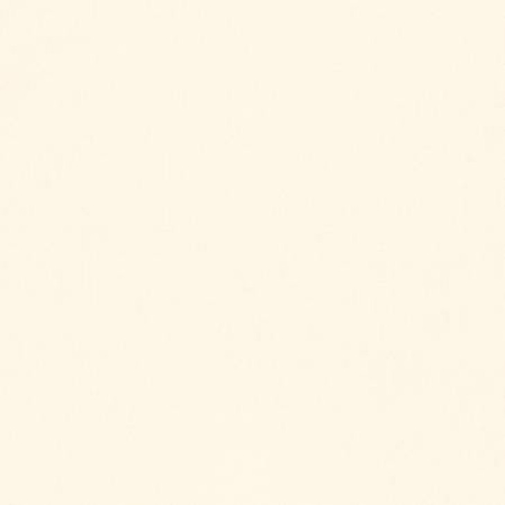 Kona Solid in Ivory