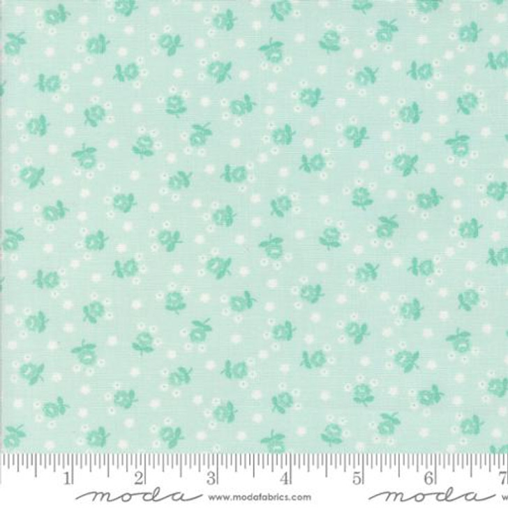 Fairground Ice - Summertime by Camille Roskelley