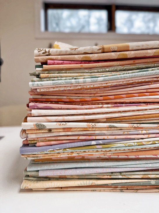 Southern Charm MYSTERY Quarter Stack - BLACK FRIDAY WEEK ONLY