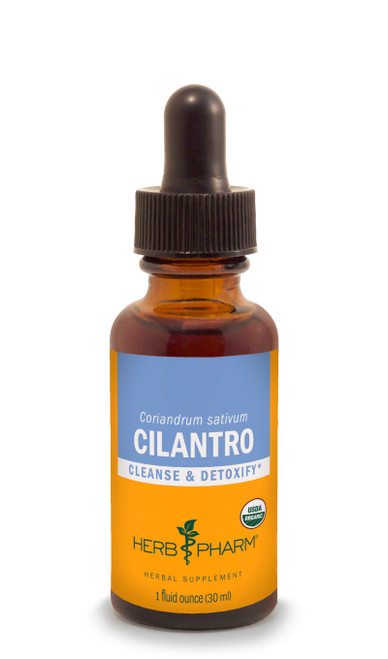 Cilantro