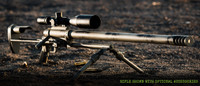 Business end of the Noreen ULR 50 BMG