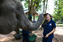 Thai Elephant Conservation Project 2026 Thai Elephant Conservation Project 2026