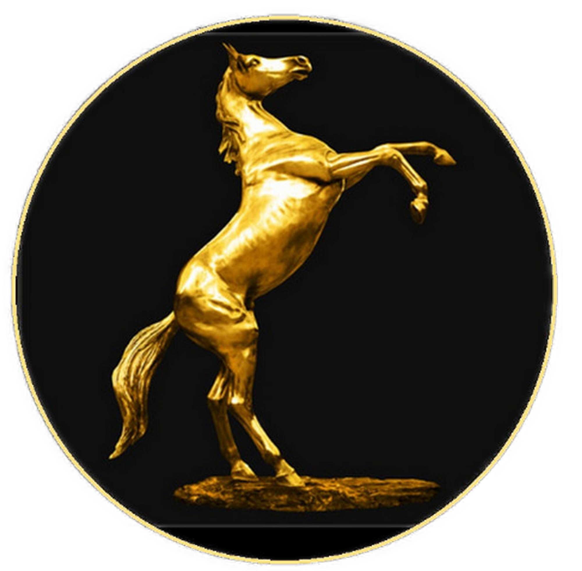 ARMSLIST - For Sale/Trade: LOUIS VUITTON HORSE SADDLE AUTHENTIC!!