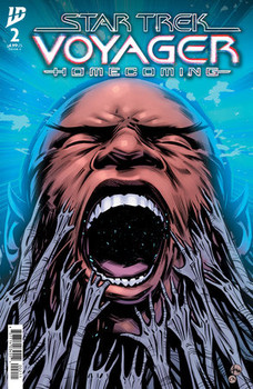 STAR TREK VOYAGER HOMECOMING #2 COVER A HERNANDEZ