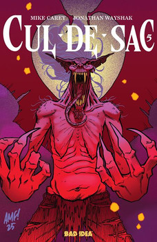 CUL DE SAC #5 (OF 5) CVR B TONY FLEECS CURSED MIRROR VAR CUL DE SAC #5 (OF 5) CVR B TONY FLEECS CURSED MIRROR VAR