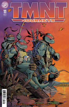 TMNT JOURNEYS #11 CVR B DOONEY