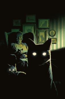STUFF OF NIGHTMARES THE CAT IN THE COFFIN #1 CVR C GORHAM