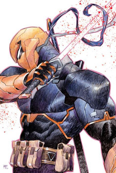 DEATHSTROKE THE TERMINATOR #6 CVR C DIKE RUAN CARD STOCK VAR
