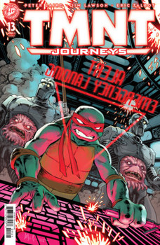 TMNT JOURNEYS #13 CVR B WACHTER