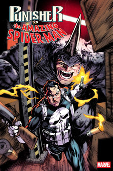 PUNISHER VS SPIDER-MAN #3