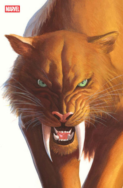 BLACK CAT #2 ALEX ROSS TIMELESS VIRGIN VAR
