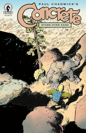 CONCRETE STARS OVER SAND #1 CVR B PAUL CHADWICK