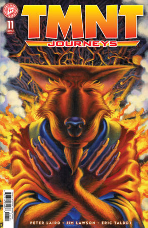 TMNT JOURNEYS #11 CVR A DOONEY & LAWSON