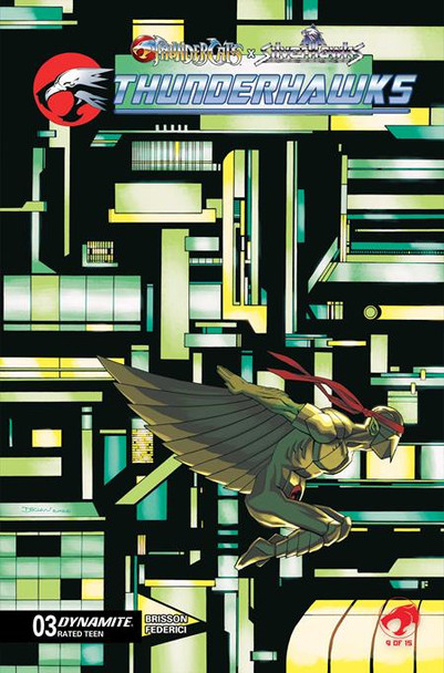 THUNDERCATS X SILVERHAWKS THUNDERHAWKS #3 CVR B DECLAN SHALVEY