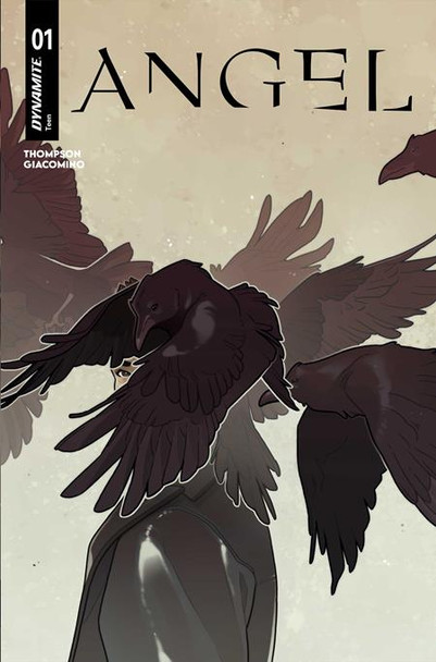 ANGEL #1 CVR C MEREDITH MCCLAREN VAR