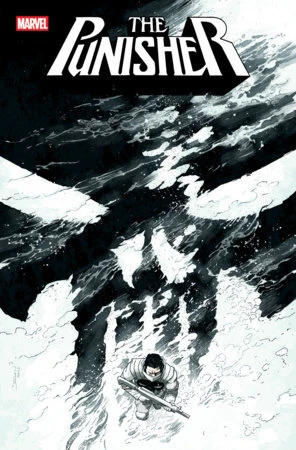 PUNISHER #12 CVR B DECLAN SHALVEY VAR