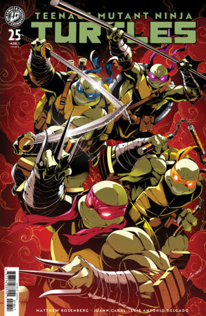 TEENAGE MUTANT NINJA TURTLES #25 CVR B GODTAIL COVER SET