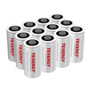A bulk 12-pack of non-rechargeable lithium batteries designed for high-drain smart home security devices.