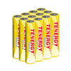 Tenergy Solla AAA rechargeable batteries with a 600mAh capacity for powering multiple outdoor solar garden lights.