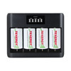 Tenergy battery charger and five pack of Centura Lite D batteries featuring five LCD status bars to monitor charging progress for various sizes.