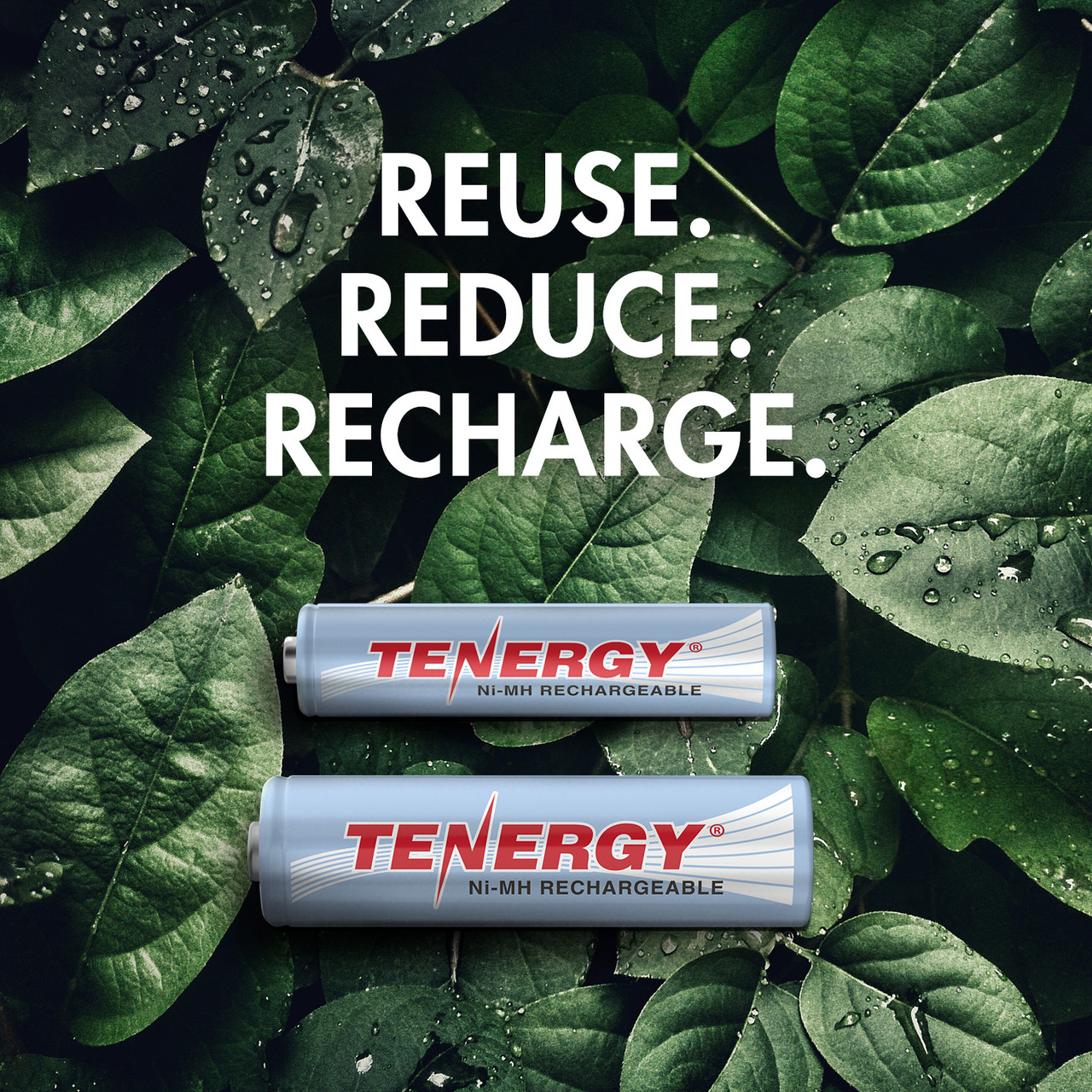 Tenergy rechargeable batteries displayed over green leaves emphasize the environmental benefits of using a reusable power supply.