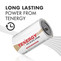 1 Box: 12pcs Tenergy D Size (LR20) Alkaline Batteries