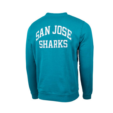 teal-back__36957.1724958639.