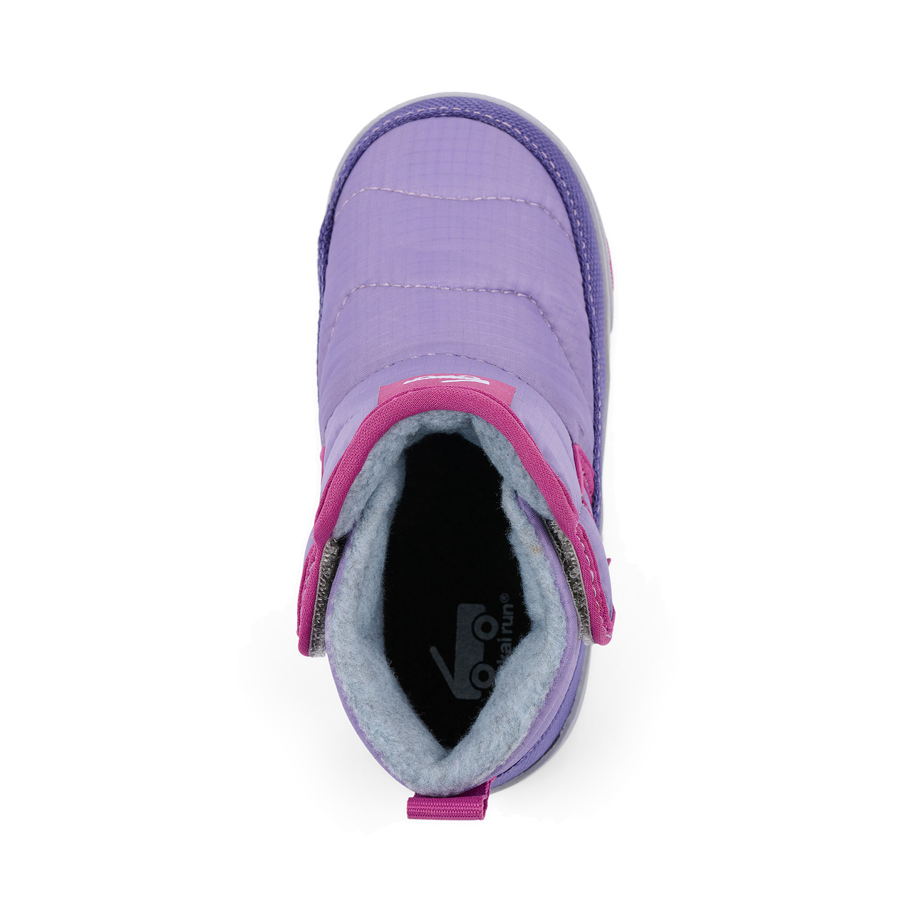 Teddy Heirloom Purple - See Kai Run