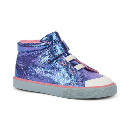 【希少】新政 天蛙Spark Clear Dry Drew Purple Metallic