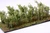 WB-SDR - Martin Welberg - Bushes, Red, 20-30mm High