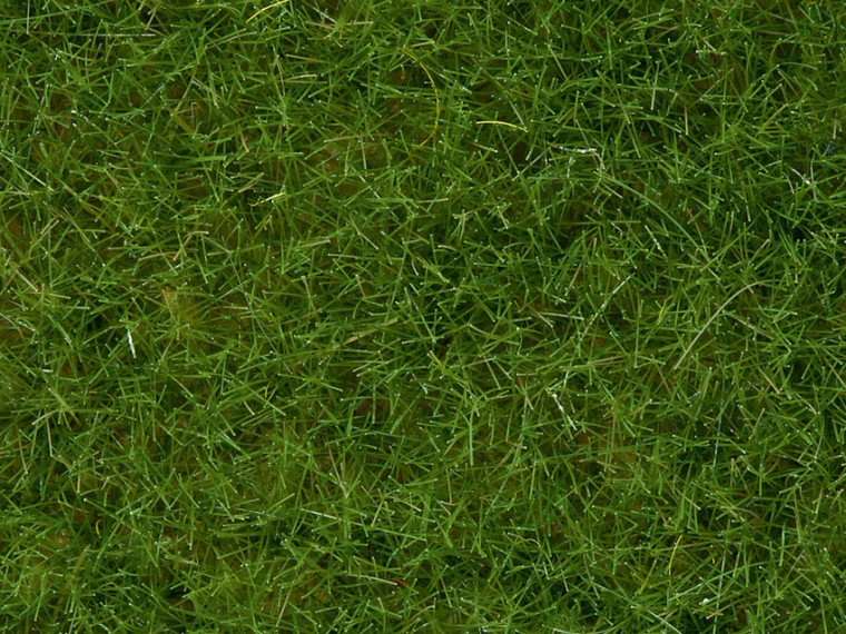 7102 - Noch Wild Grass - 6mm 50g -- Light Green