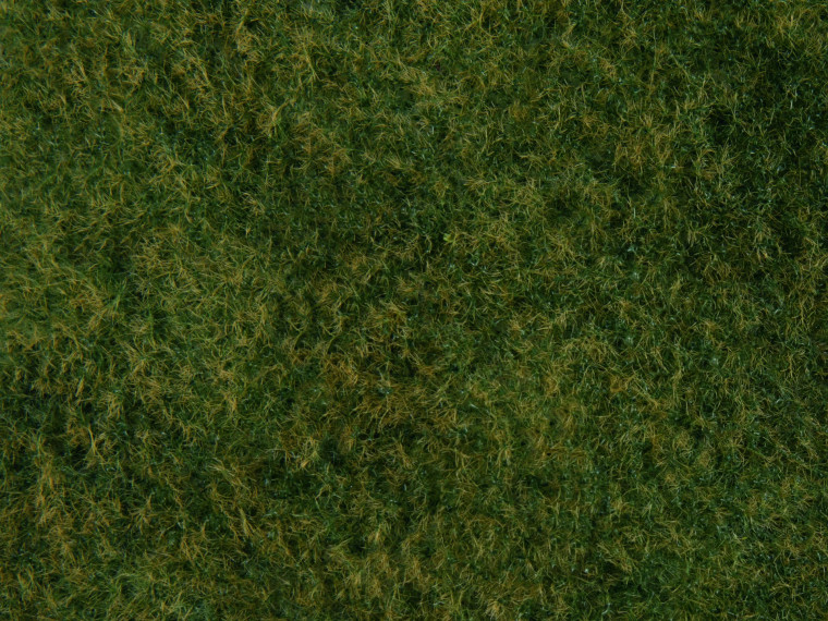 7280 - Noch Wild Grass Foliage Light Green