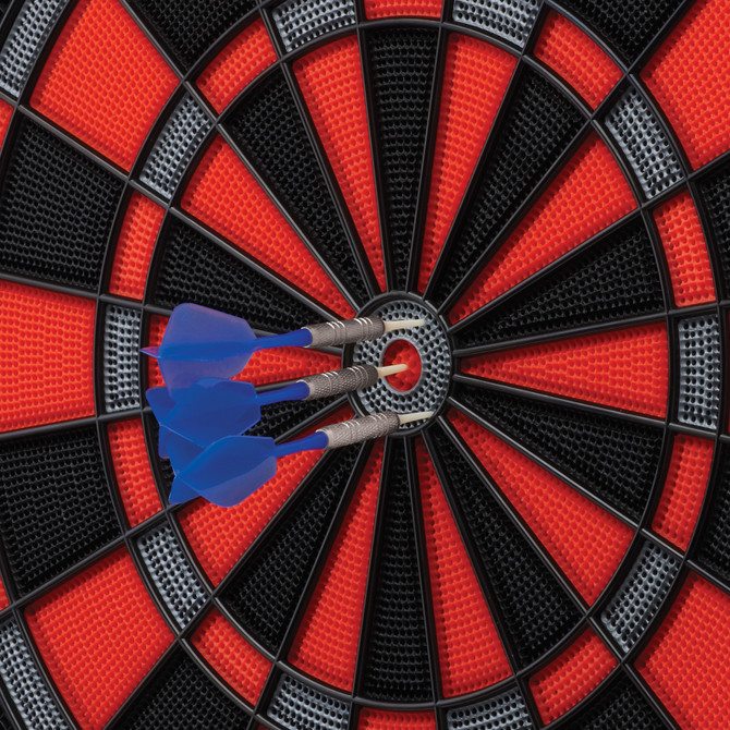 800 Electronic Dartboard