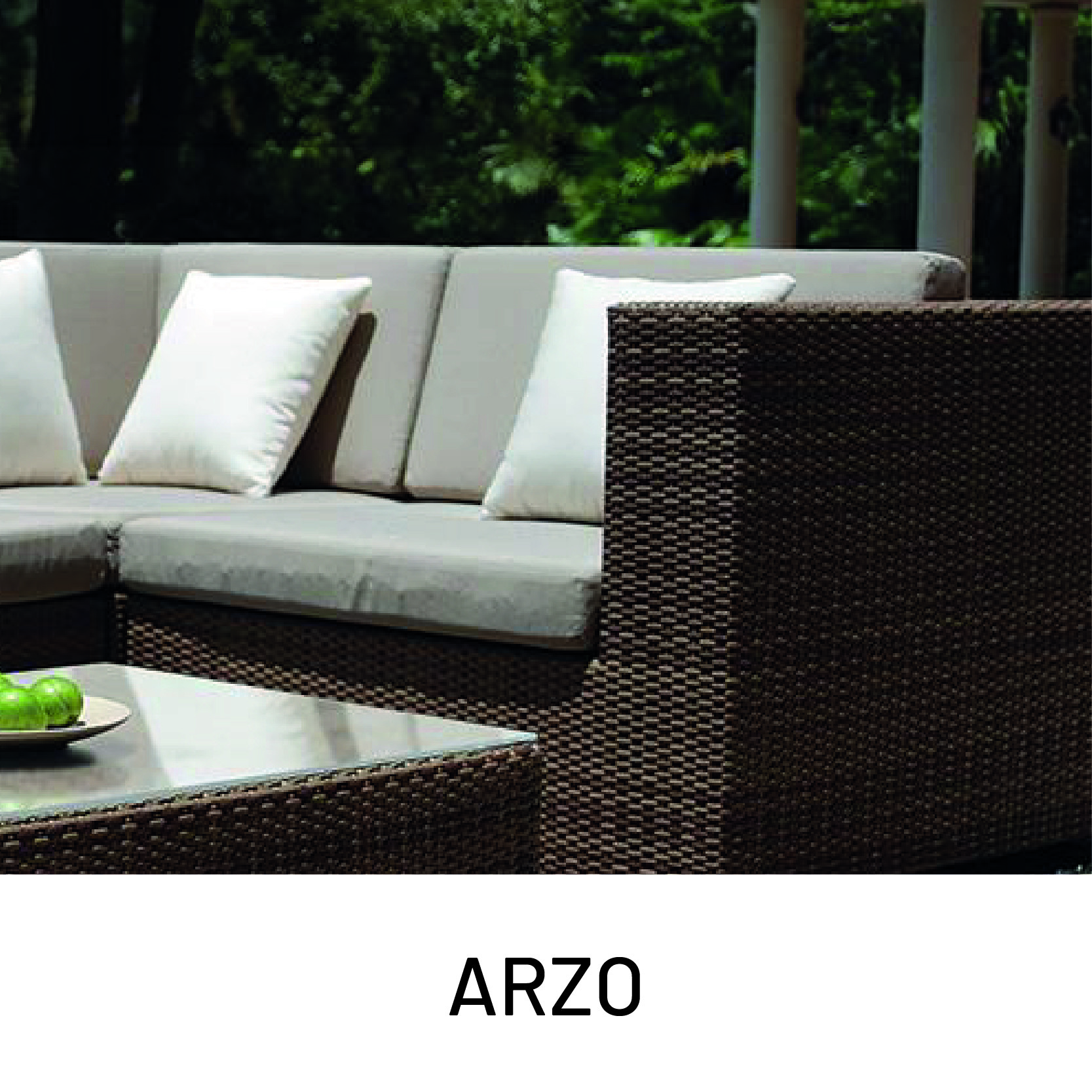 arzo.jpg