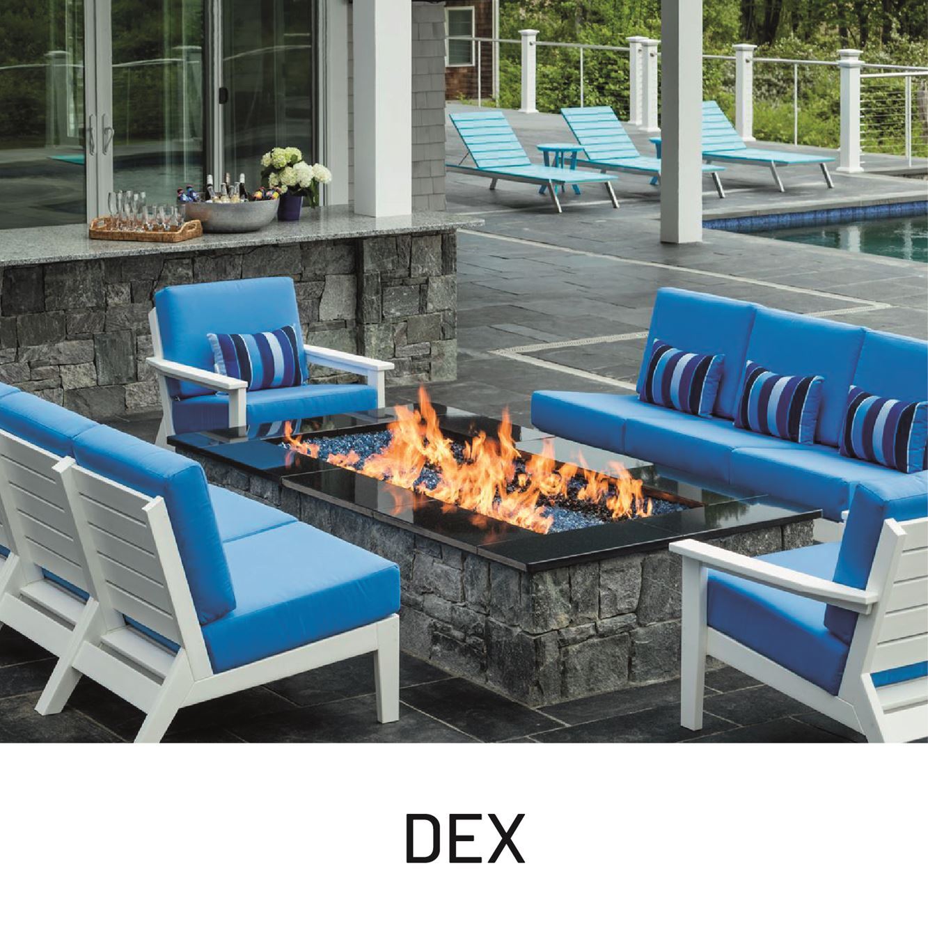 dex.jpg