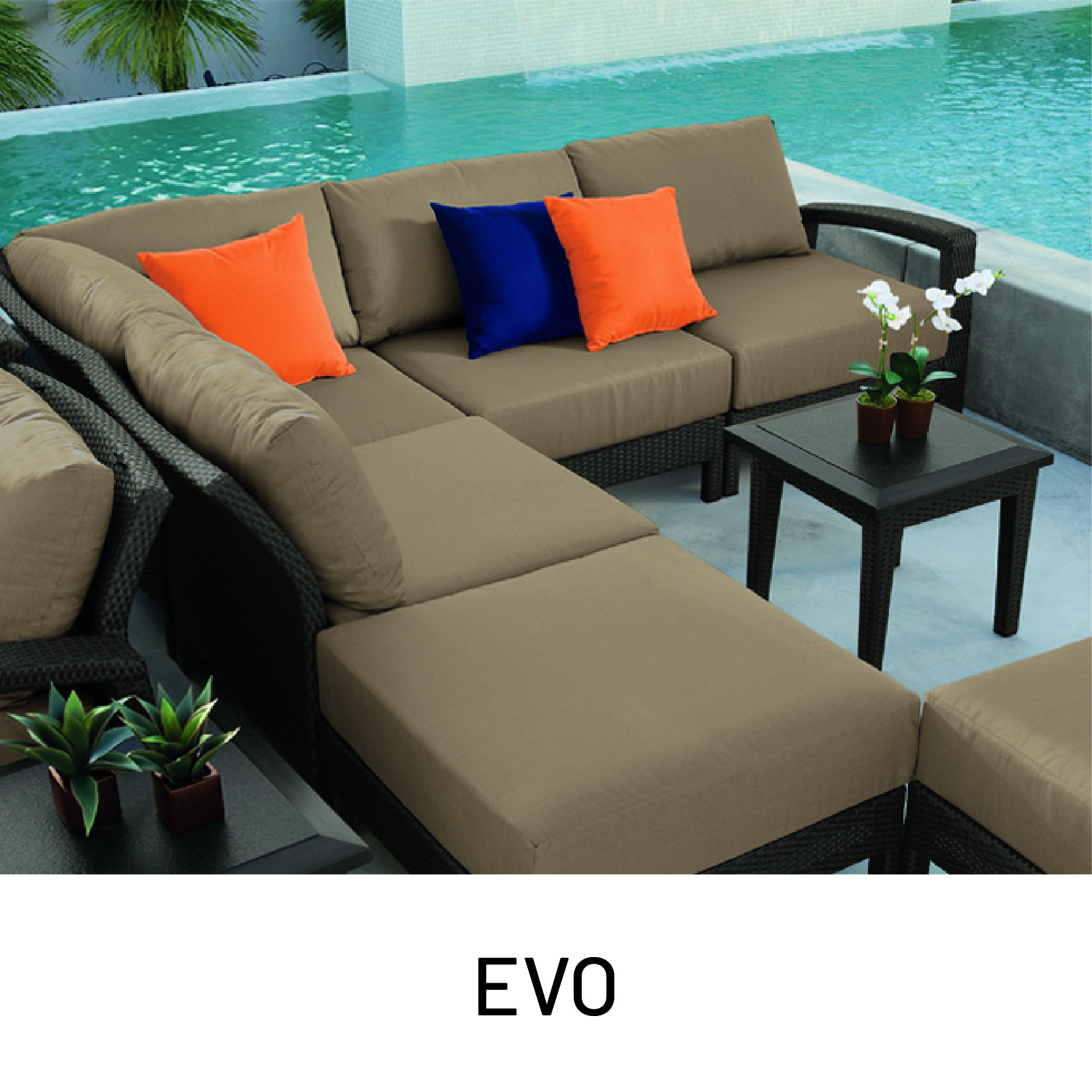 evo.jpg