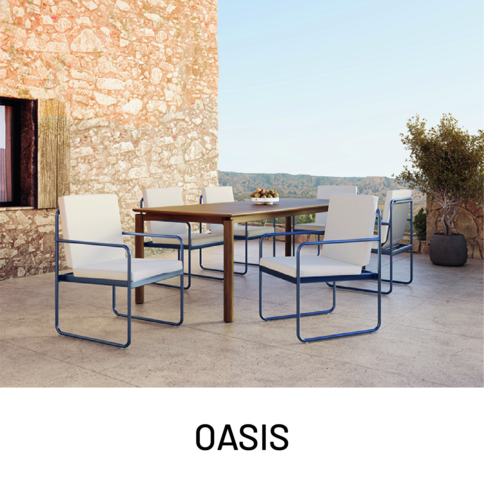 oasis.jpg