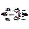 Graphics Kit for Kawasaki KLX300SM (2021-2023) Division Series