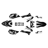 Graphics Kit for Kawasaki KLX250 (2008-2020) Evader Series