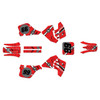 Graphics Kit for Suzuki RM250 (1989-1992) Predator Series