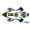 Graphics Kit for Kawasaki KX100 (2001-2013) Venom Series