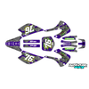 Graphics Kit for Kawasaki KX100 (2001-2013) Lunatic Series