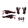 Graphics Kit for Canam DS450 (2008-2015) Electron Series