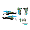 Graphics Kit for Canam DS450 (2008-2015) Shred Series