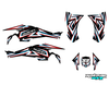 Graphics Kit for Canam DS450 (2008-2015) Vision Series