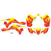 Graphics Kit for Suzuki LTR450 (2006-2011) Icon Series